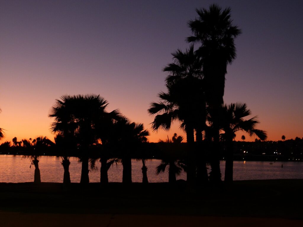 san diego, sunset, palms
